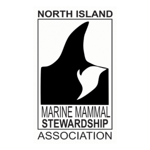 North Island Marine Mammal Stewardship Association – NIMMSA