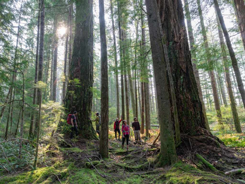 Guided hiking Vancouver Island