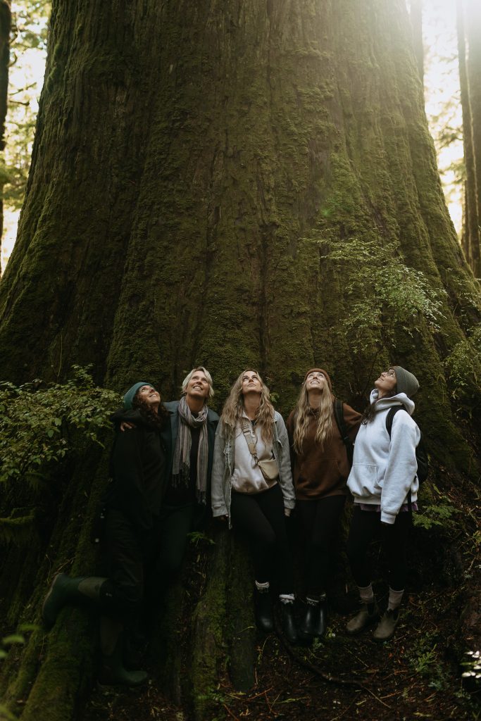 Five people stand at the base of a massive tree in a forest, looking up at its trunk. Sunlight filters through the leaves above, highlighting the moss-covered bark and lush greenery surrounding them.