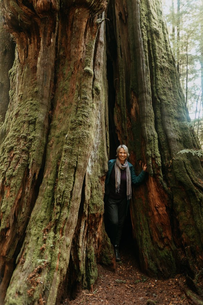 An older woman stands in the hollow of a massive, moss-covered tree trunk in a forest, smiling and leaning against the wood. Sunlight filters through the trees above.