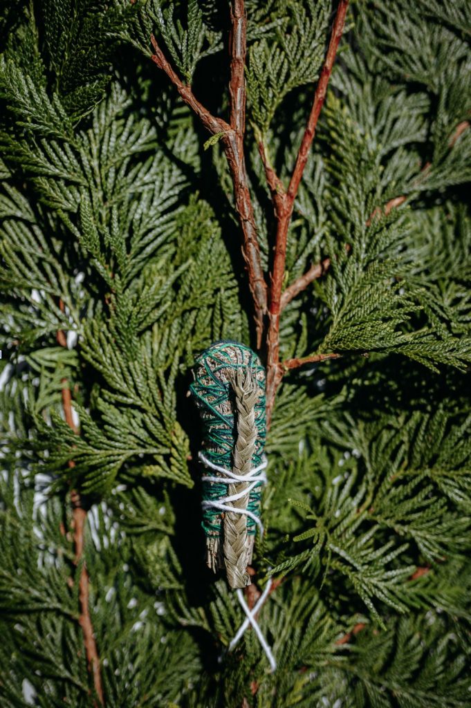 A bundle of dried sage wrapped with green and white string, placed against a background of fresh evergreen branches, evokes the spirit of a bear adventure in the wild.