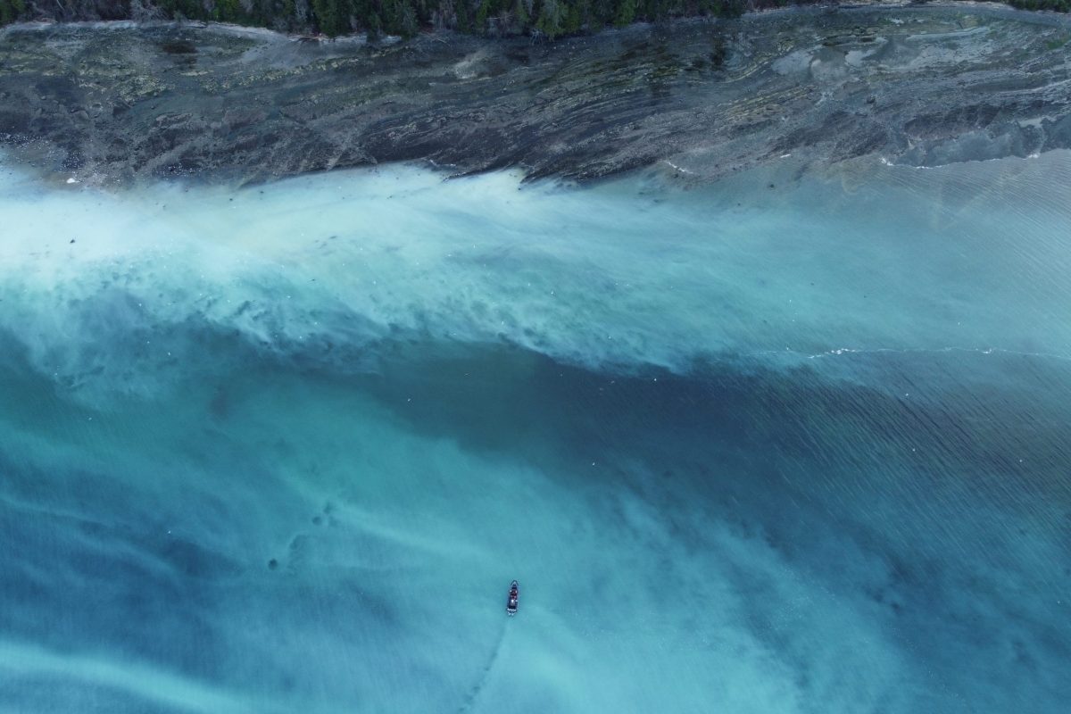 Denman Island Herring Spawn