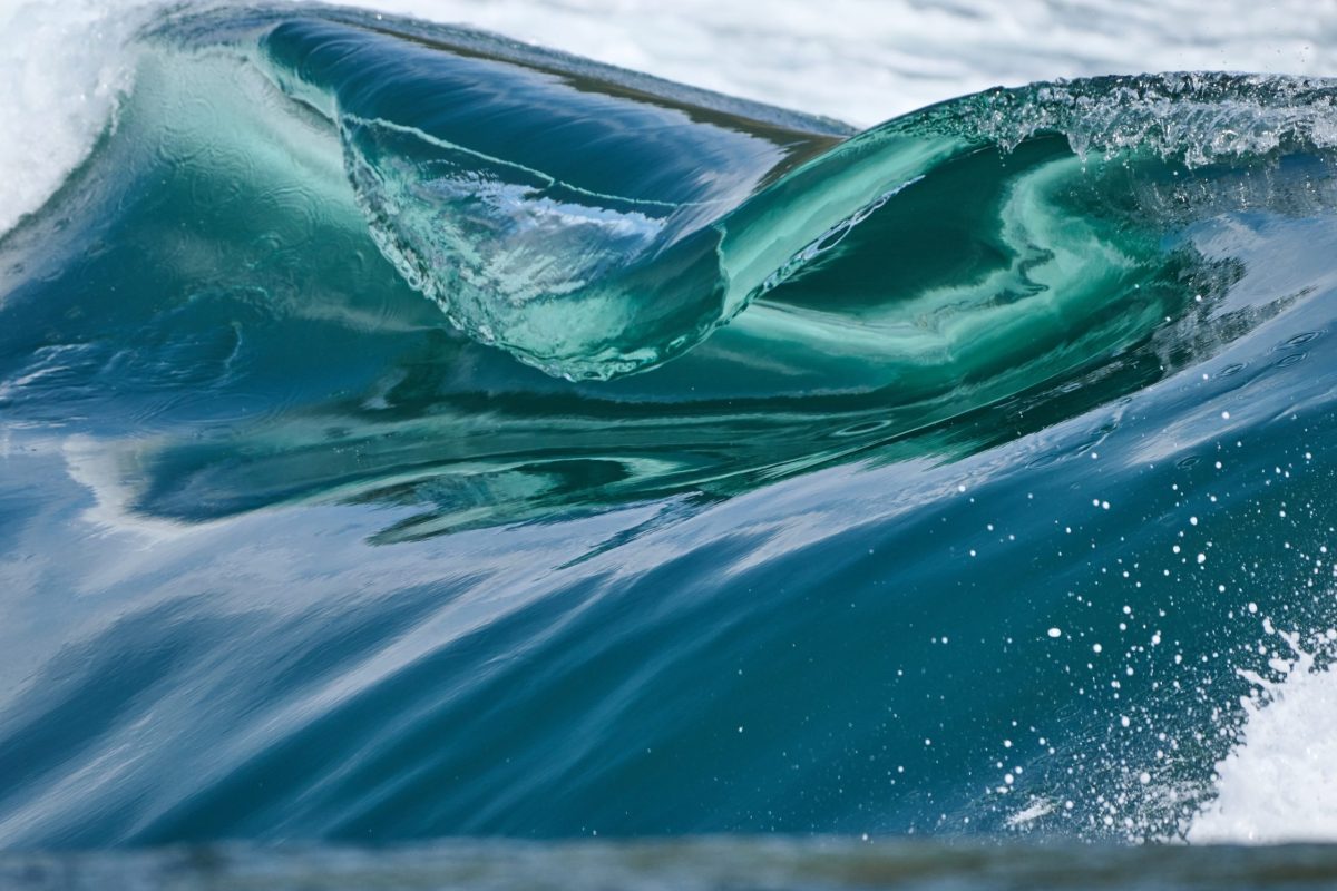 A close-up of a clear blue ocean wave curling and about to break, with sunlight illuminating the smooth, glassy surface—inviting thoughts of a bear adventure along the shore as white foam forms at the edges.